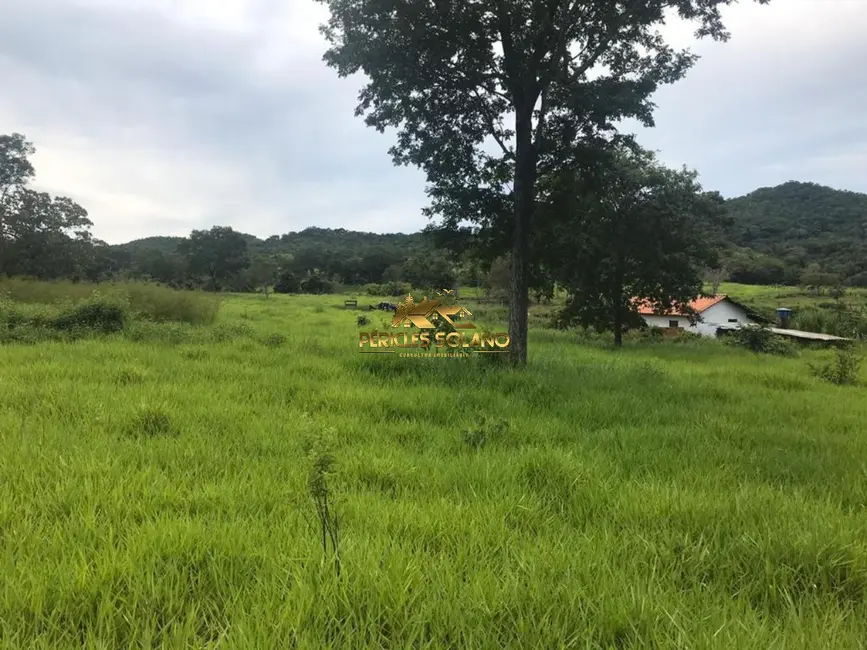 Foto 4 de Fazenda / Haras com 3 quartos à venda, 55m2 em Crixas - GO