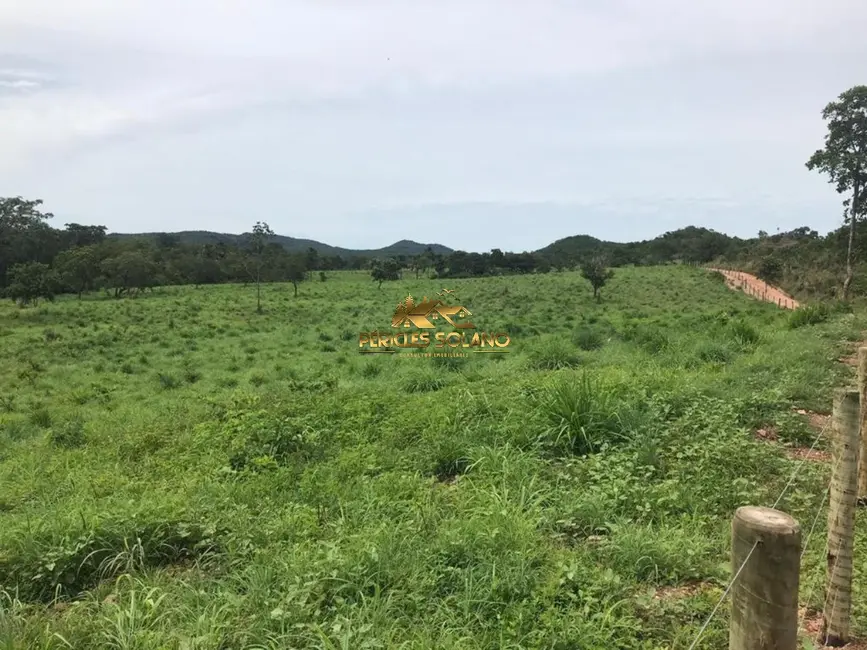 Foto 7 de Fazenda / Haras com 3 quartos à venda, 55m2 em Crixas - GO
