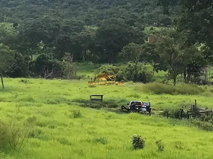 Foto 3 de Fazenda / Haras com 3 quartos à venda, 55m2 em Crixas - GO