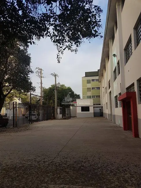 Foto 6 de Armazém / Galpão à venda e para alugar, 1818m2 em Barra Funda, São Paulo - SP