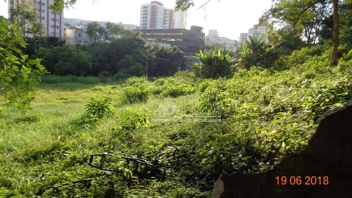 Sala Comercial à venda, 8521m2 em Parque Mandaqui, São Paulo - SP - imagem 4 Foto 4 de Sala Comercial à venda, 8521m2 em Parque Mandaqui, São Paulo - SP