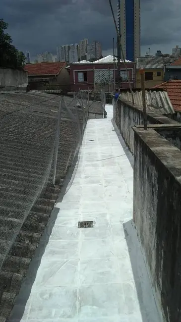 Casa com 8 quartos à venda, 230m2 em Vila Pompéia, São Paulo - SP - imagem 4 Foto 4 de Casa com 8 quartos à venda, 230m2 em Vila Pompéia, São Paulo - SP