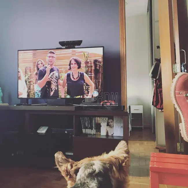 Foto 1 de Apartamento com 1 quarto à venda, 49m2 em Campos Elíseos, São Paulo - SP