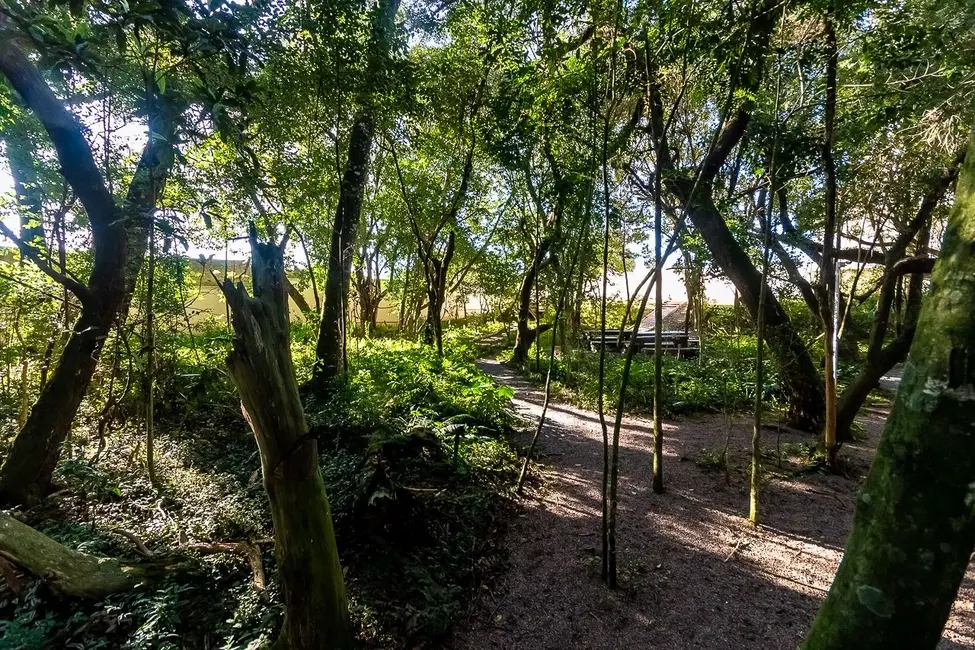 Foto 9 de Apartamento com 4 quartos à venda, 166m2 em Curitiba - PR