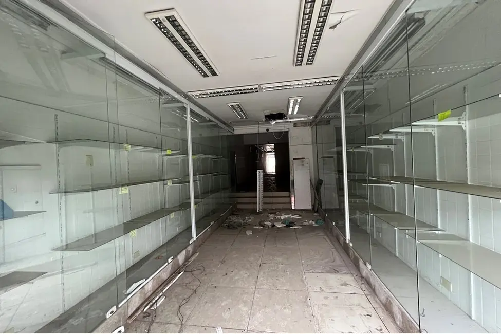 Foto 4 de Loja à venda, 200m2 em Cambuci, São Paulo - SP