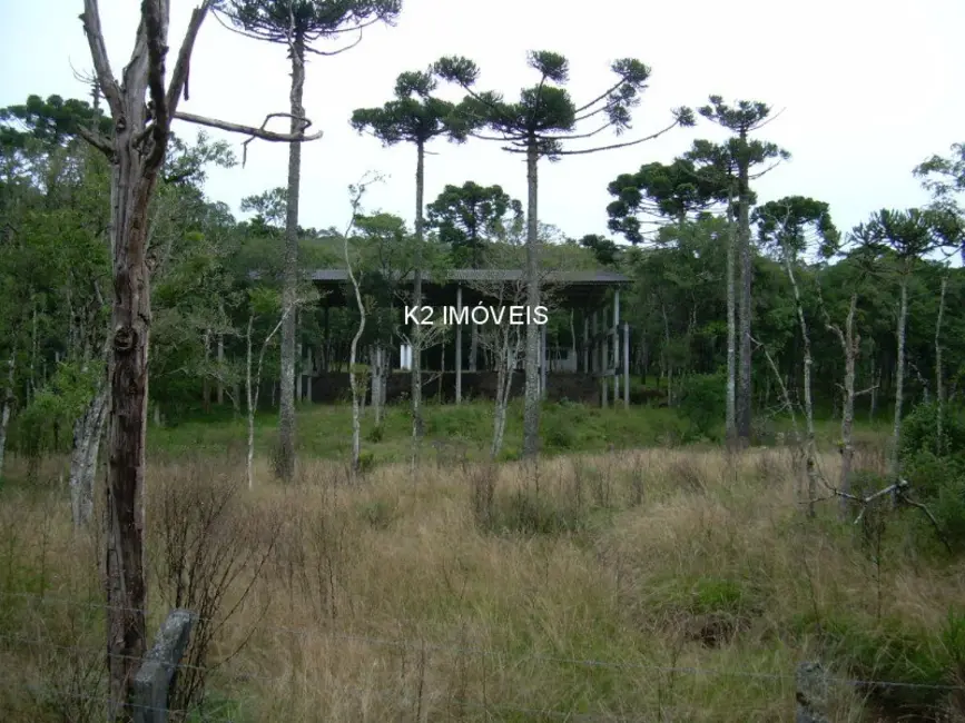 Foto 6 de Chácara com 3 quartos à venda, 338800m2 em Quatro Barras - PR