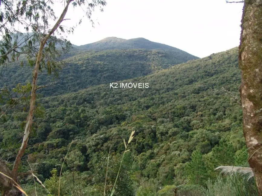 Foto 4 de Chácara com 3 quartos à venda, 338800m2 em Quatro Barras - PR