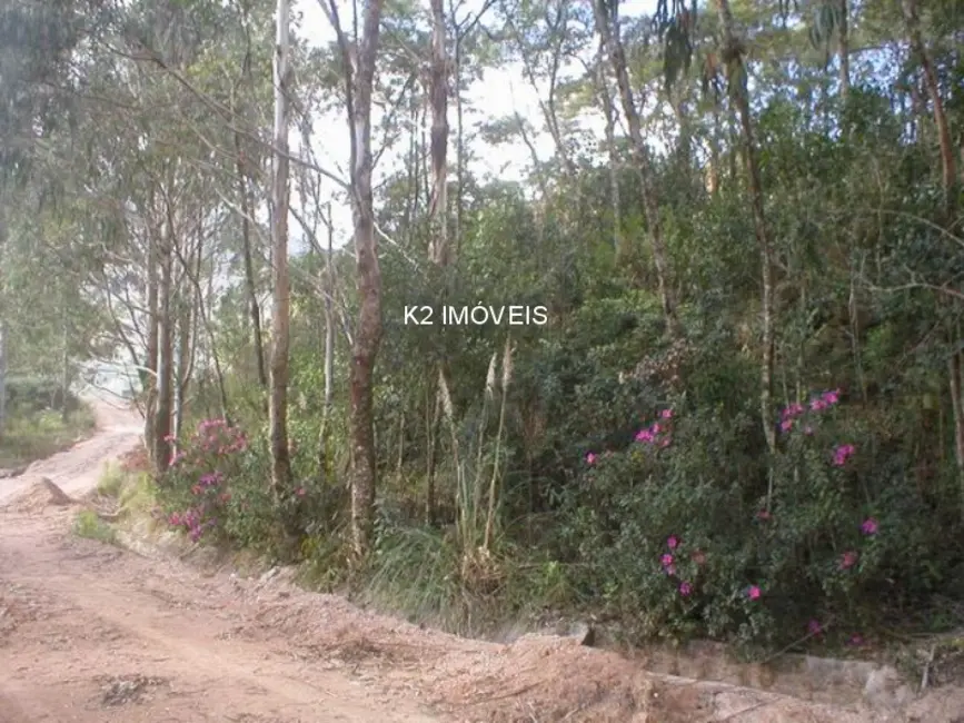 Foto 3 de Chácara com 3 quartos à venda, 338800m2 em Quatro Barras - PR