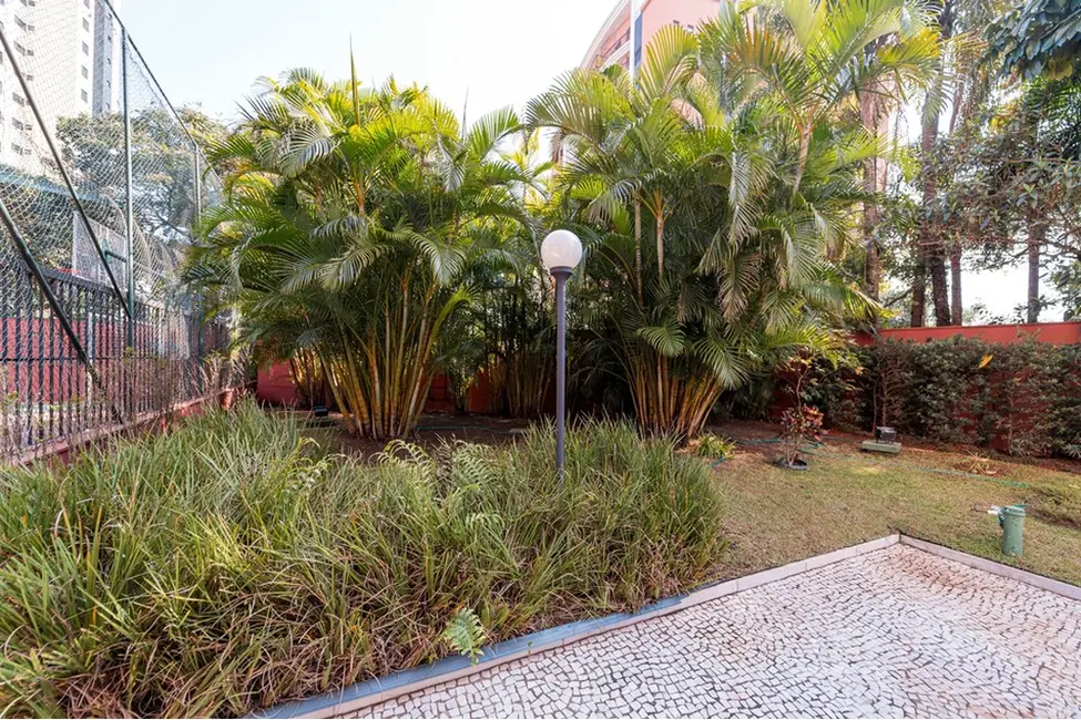 Apartamento com 3 quartos à venda, 189m2 em Vila Mascote, São Paulo - SP - imagem 5 Foto 5 de Apartamento com 3 quartos à venda, 189m2 em Vila Mascote, São Paulo - SP