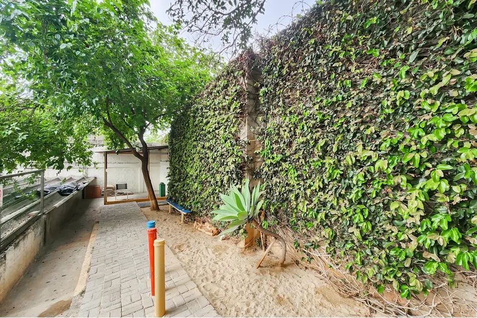 Foto 6 de Apartamento com 3 quartos à venda, 67m2 em Vila Mazzei, São Paulo - SP