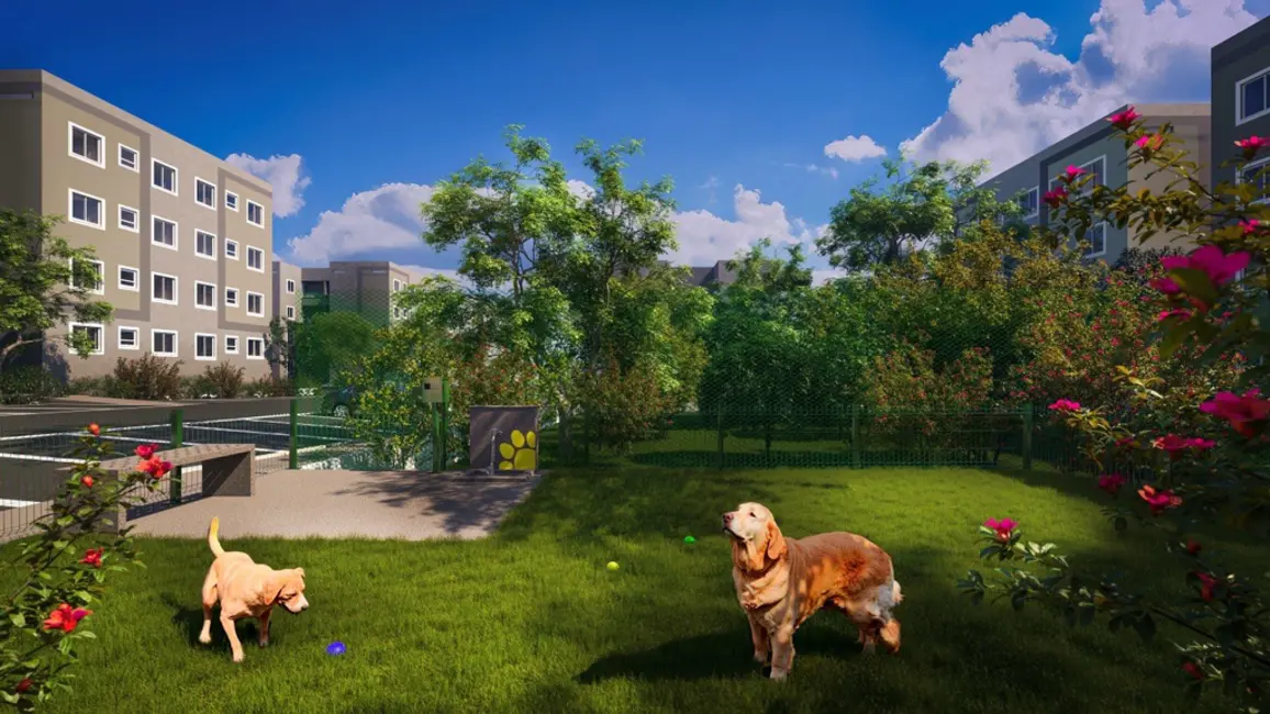 Foto 8 de Apartamento com 2 quartos à venda, 40m2 em Forquilhas, Sao Jose - SC