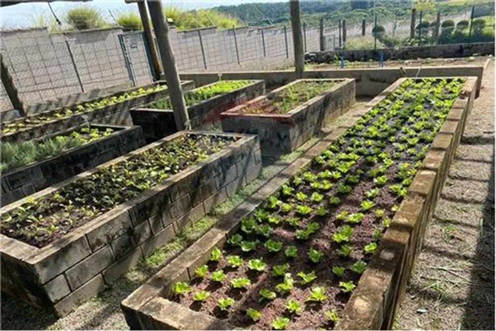 Foto 6 de Terreno / Lote à venda em Ivoturucaia, Jundiai - SP