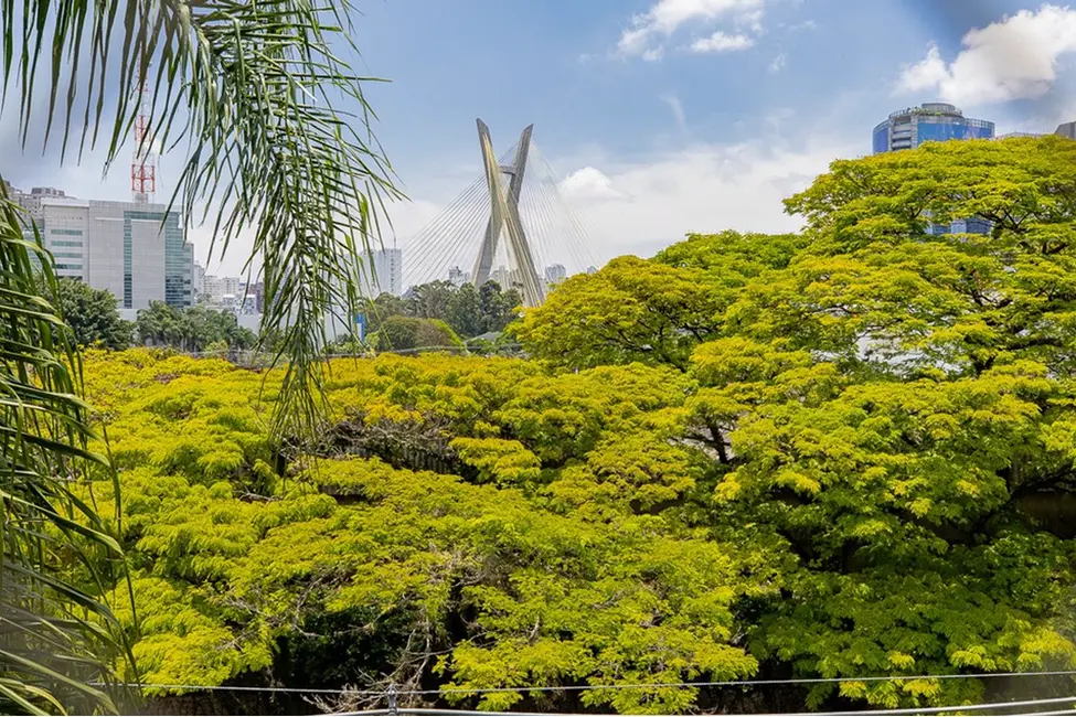 Foto 8 de Apartamento com 2 quartos à venda, 70m2 em Vila Cordeiro, São Paulo - SP