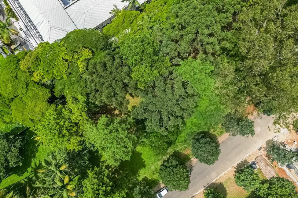 Foto 8 de Terreno / Lote à venda, 663m2 em Chácara Flora, São Paulo - SP