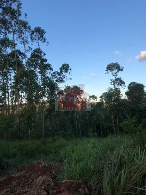 Foto 4 de Sítio / Rancho à venda em Tibagi - PR
