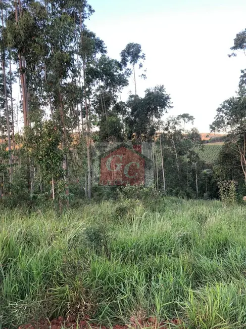 Foto 1 de Sítio / Rancho à venda em Tibagi - PR