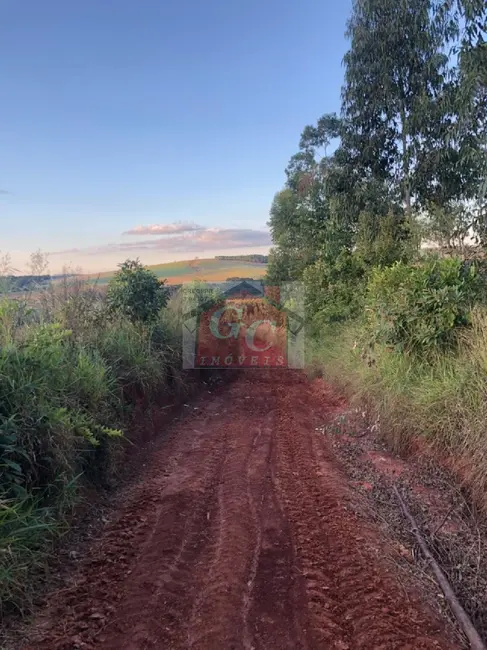Foto 6 de Sítio / Rancho à venda em Tibagi - PR