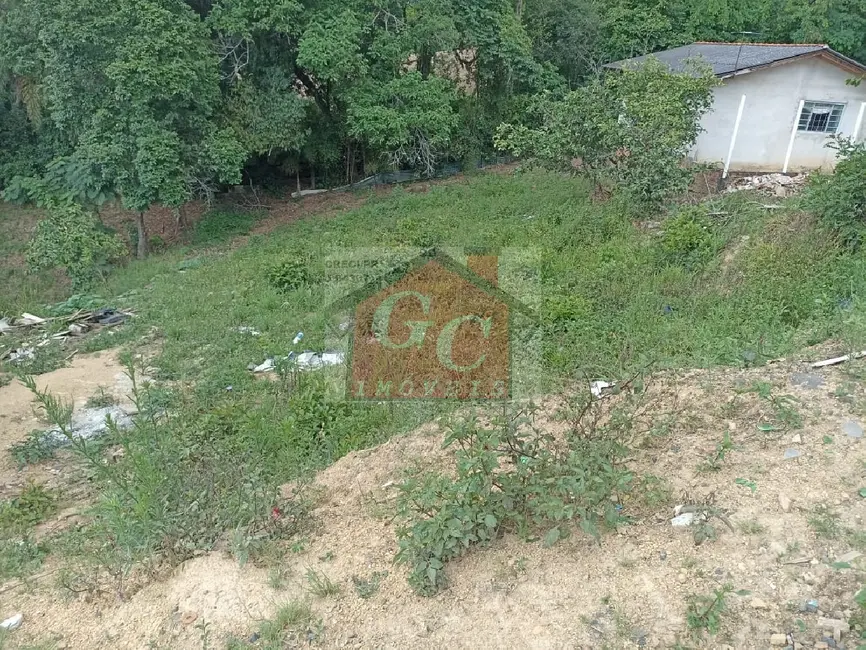 Foto 2 de Terreno / Lote à venda, 360m2 em Telemaco Borba - PR