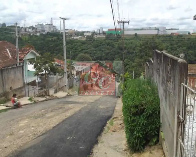 Foto 2 de Armazém / Galpão à venda e para alugar, 200m2 em Ana Mary, Telemaco Borba - PR