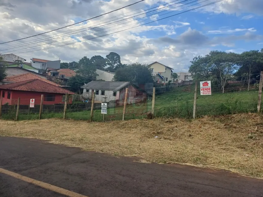 Foto 2 de Terreno / Lote à venda, 1935m2 em Alto das Oliveiras, Telemaco Borba - PR