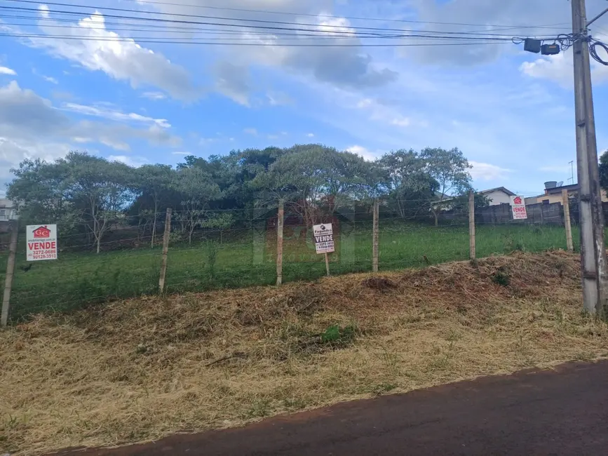 Terreno / Lote à venda, 1935m2 em Alto das Oliveiras, Telemaco Borba - PR - imagem 5 Foto 5 de Terreno / Lote à venda, 1935m2 em Alto das Oliveiras, Telemaco Borba - PR
