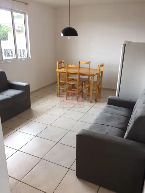 Apartamento com 2 quartos à venda, 49m2 em Parque Limeira Área II, Telemaco Borba - PR - imagem 3 Foto 3 de Apartamento com 2 quartos à venda, 49m2 em Parque Limeira Área II, Telemaco Borba - PR