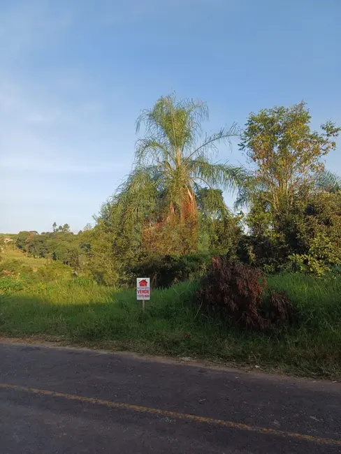 Terreno / Lote à venda, 370m2 em Parque Limeira Área VI, Telemaco Borba - PR - imagem 3 Foto 3 de Terreno / Lote à venda, 370m2 em Parque Limeira Área VI, Telemaco Borba - PR