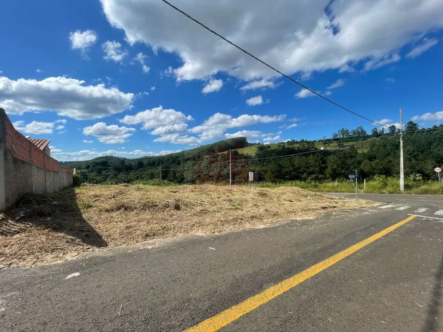 Terreno / Lote à venda, 550m2 em Parque Limeira Área VI, Telemaco Borba - PR - imagem 6 Foto 6 de Terreno / Lote à venda, 550m2 em Parque Limeira Área VI, Telemaco Borba - PR