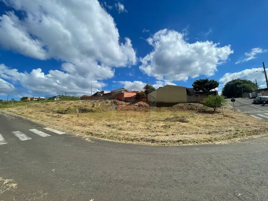Terreno / Lote à venda, 523m2 em Parque Limeira Área VI, Telemaco Borba - PR - imagem 1 Foto 1 de Terreno / Lote à venda, 523m2 em Parque Limeira Área VI, Telemaco Borba - PR