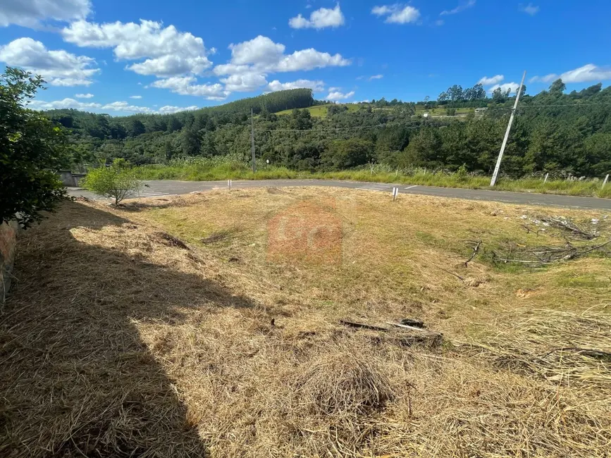 Terreno / Lote à venda, 523m2 em Parque Limeira Área VI, Telemaco Borba - PR - imagem 4 Foto 4 de Terreno / Lote à venda, 523m2 em Parque Limeira Área VI, Telemaco Borba - PR