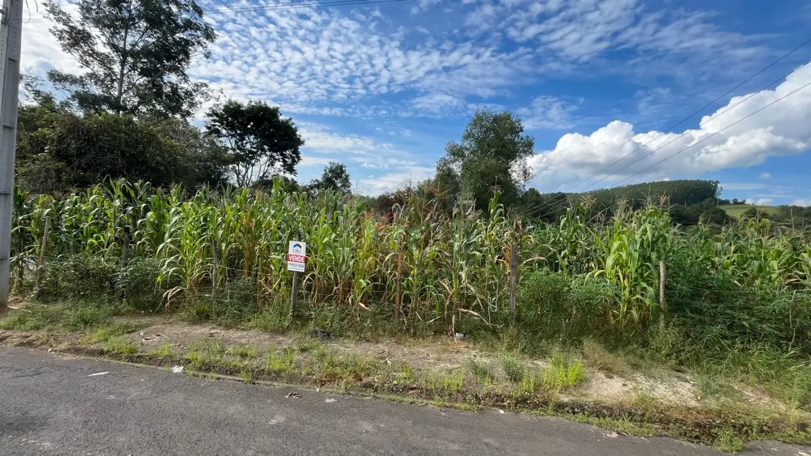 Foto 1 de Chácara à venda, 2369m2 em Parque Limeira Área VI, Telemaco Borba - PR