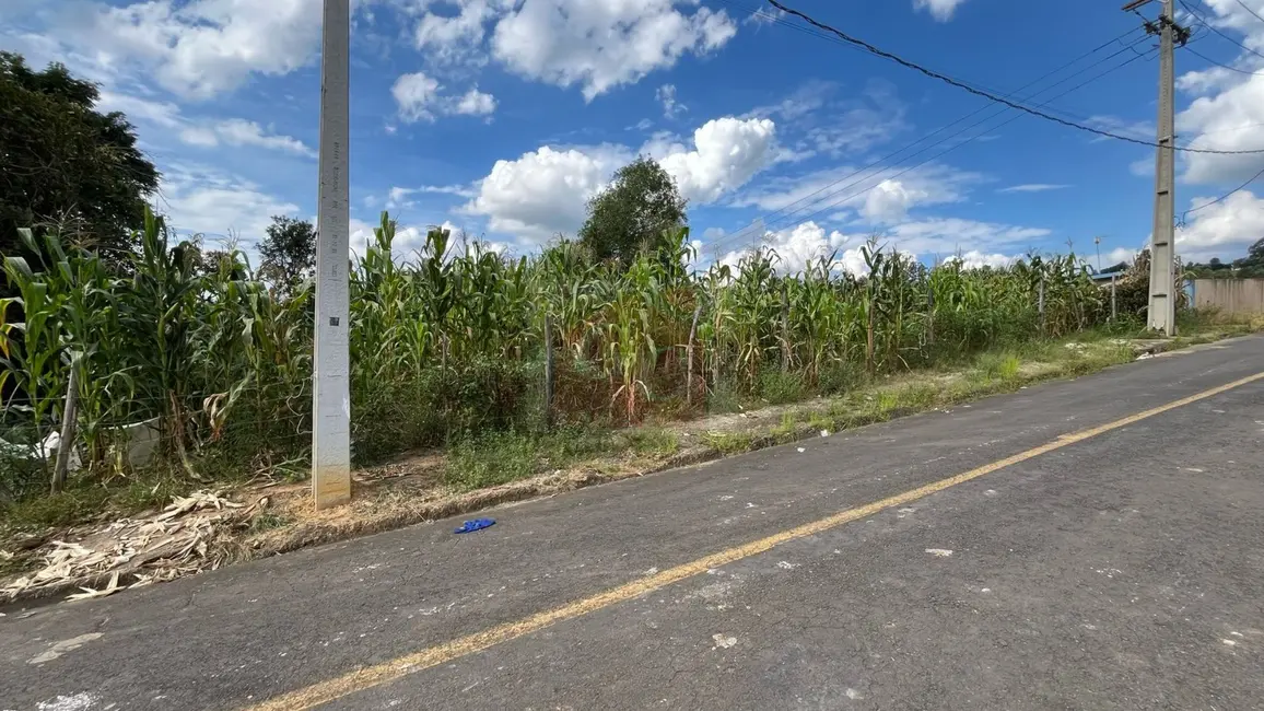 Chácara à venda, 2369m2 em Parque Limeira Área VI, Telemaco Borba - PR - imagem 3 Foto 3 de Chácara à venda, 2369m2 em Parque Limeira Área VI, Telemaco Borba - PR