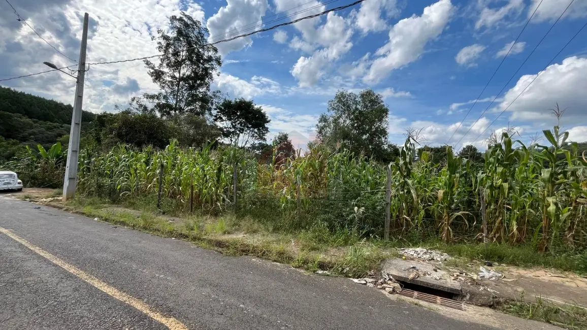 Chácara à venda, 2369m2 em Parque Limeira Área VI, Telemaco Borba - PR - imagem 5 Foto 5 de Chácara à venda, 2369m2 em Parque Limeira Área VI, Telemaco Borba - PR