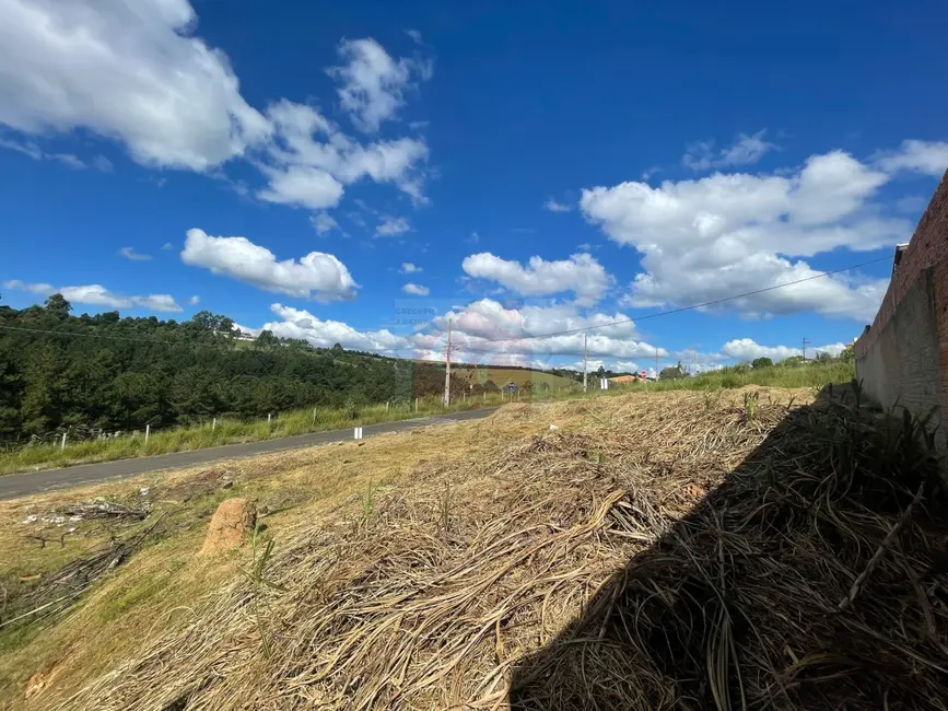 Foto 8 de Terreno / Lote à venda, 1073m2 em Parque Limeira Área VI, Telemaco Borba - PR
