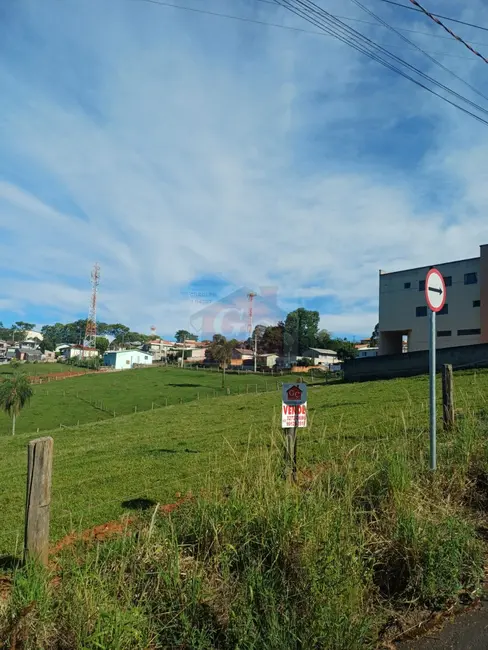 Foto 3 de Terreno / Lote à venda, 446m2 em Parque Limeira Área VI, Telemaco Borba - PR