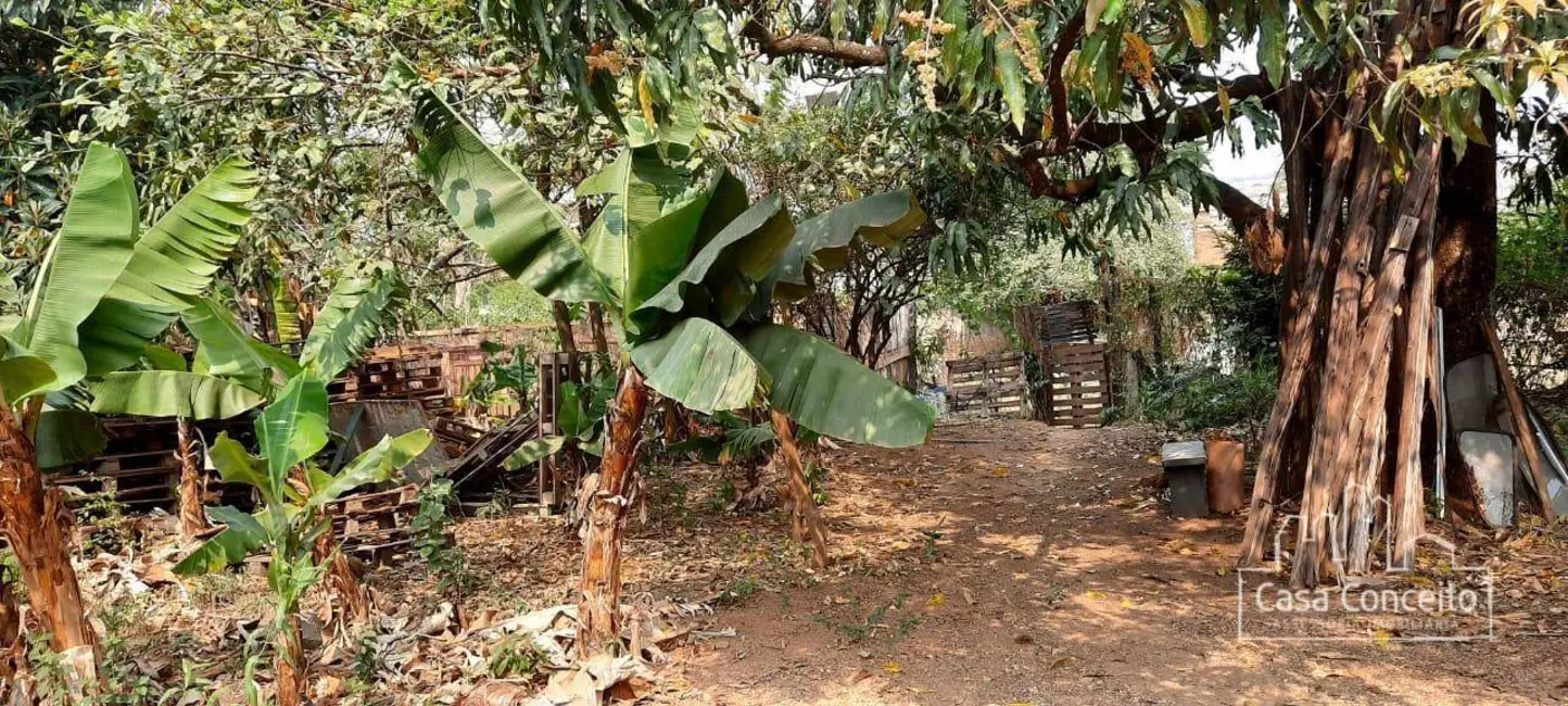 Chácara com 3 quartos à venda, 1800m2 em Vila Helena, Sorocaba - SP - imagem 5 Foto 5 de Chácara com 3 quartos à venda, 1800m2 em Vila Helena, Sorocaba - SP