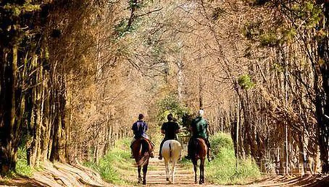 Terreno / Lote à venda, 1050m2 em Kurumin, Itu - SP - imagem 7 Foto 7 de Terreno / Lote à venda, 1050m2 em Kurumin, Itu - SP