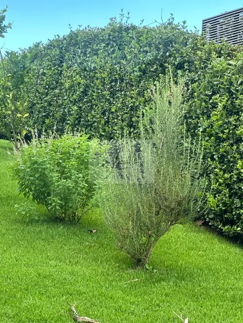 Casa de Condomínio com 4 quartos à venda, 750m2 em Vale dos Cristais, Nova Lima - MG - imagem 5 Foto 5 de Casa de Condomínio com 4 quartos à venda, 750m2 em Vale dos Cristais, Nova Lima - MG