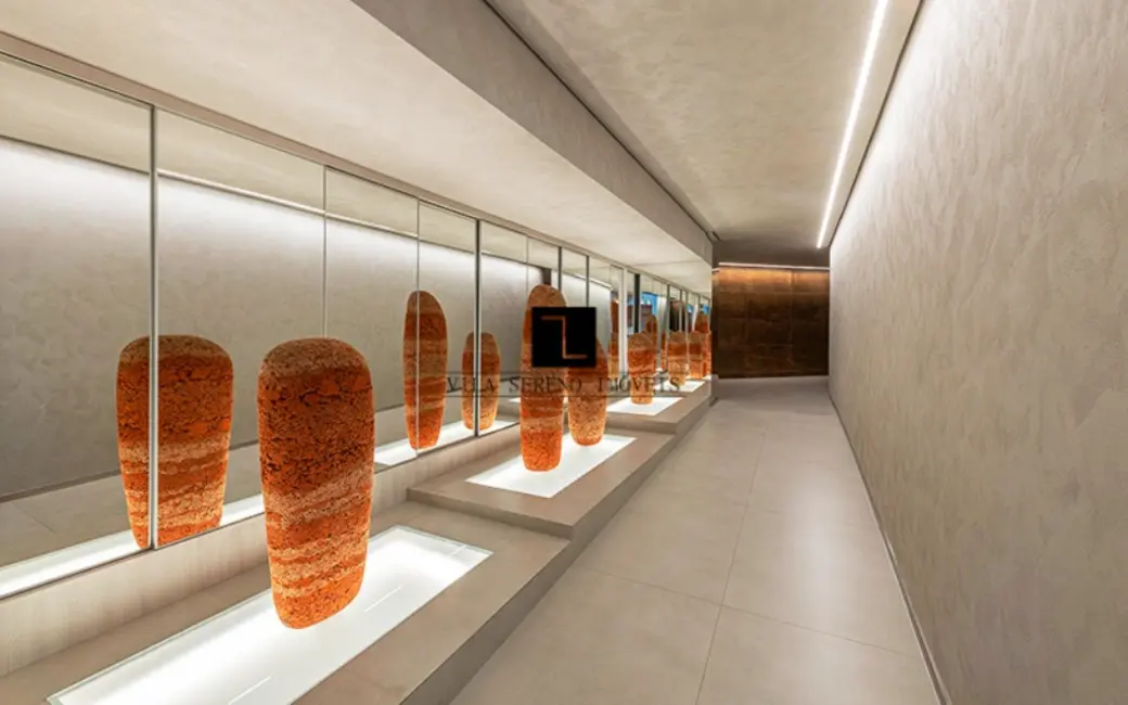 Apartamento com 1 quarto para alugar, 56m2 em Santo Agostinho, Belo Horizonte - MG - imagem 8 Foto 8 de Apartamento com 1 quarto para alugar, 56m2 em Santo Agostinho, Belo Horizonte - MG