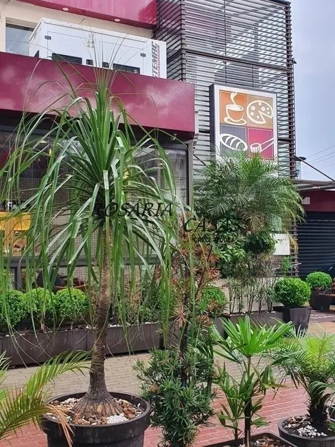 Foto 7 de Loja à venda e para alugar, 168m2 em Vila Mariana, São Paulo - SP