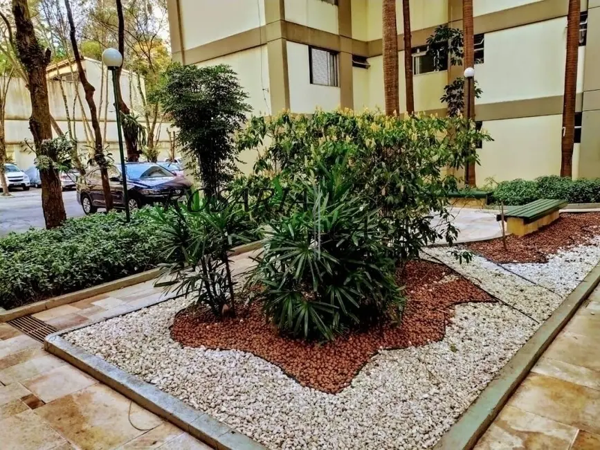 Foto 4 de Apartamento com 3 quartos à venda, 80m2 em Chácara Flora, São Paulo - SP