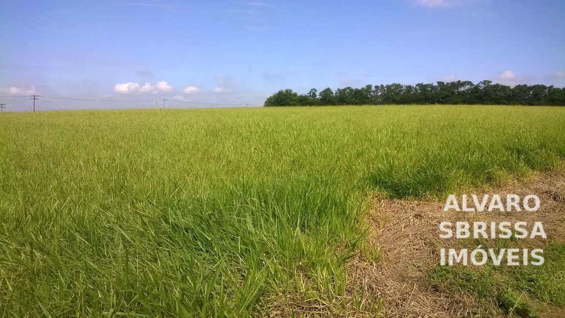 Foto 9 de Sala Comercial à venda, 115119m2 em Porto Feliz - SP