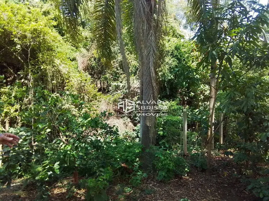Foto 4 de Chácara com 2 quartos à venda, 2000m2 em Terras de Santa Rosa, Salto - SP