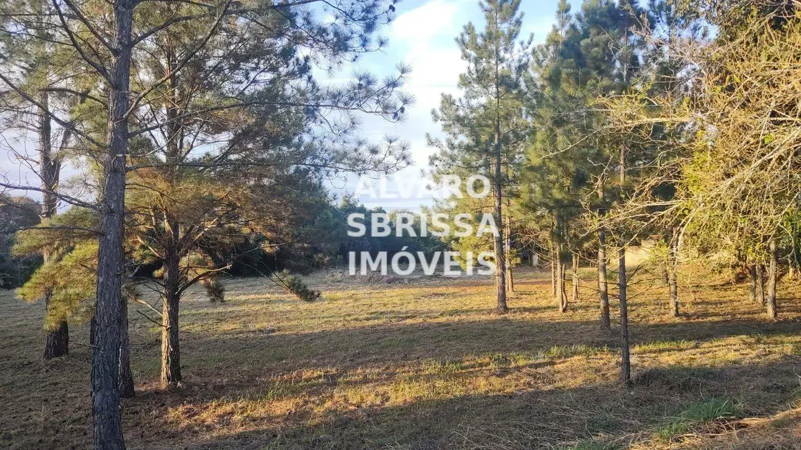 Foto 6 de Terreno / Lote à venda, 2906m2 em Chácara Flórida, Itu - SP