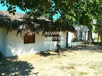 Imagem 3
