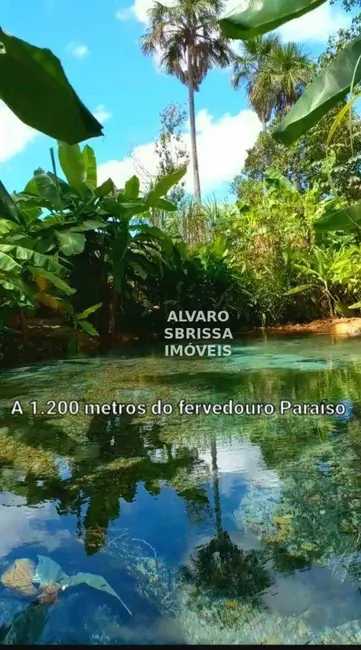 Pousada à venda, 44000m2 em Mateiros - TO - imagem 31 Foto 31 de Pousada à venda, 44000m2 em Mateiros - TO