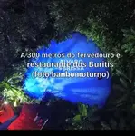 Imagem 37