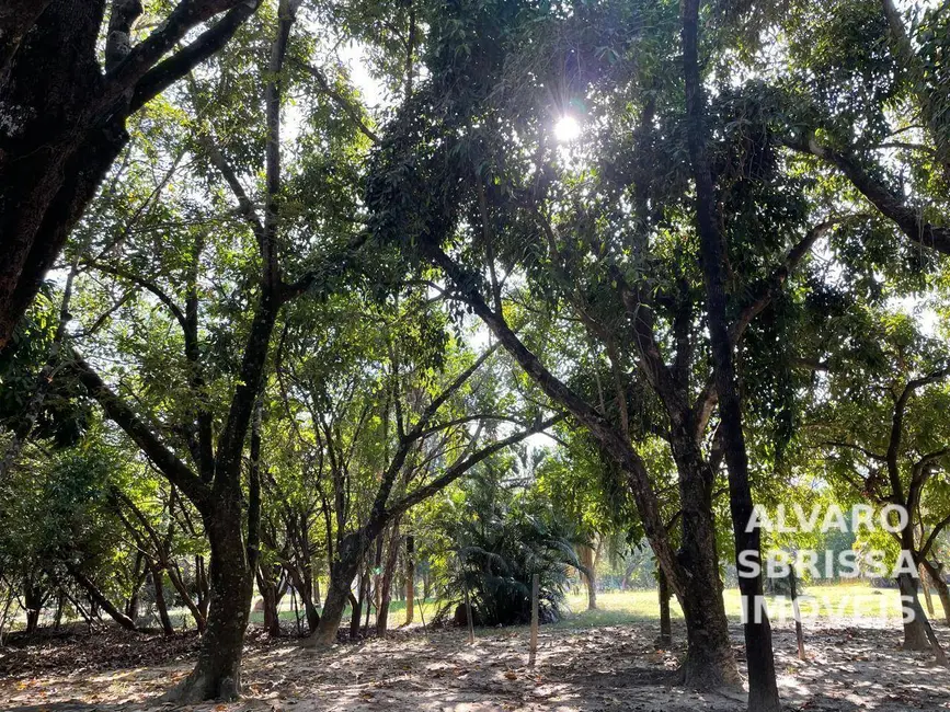 Foto 7 de Sítio / Rancho com 4 quartos à venda, 23000m2 em Taperinha, Itu - SP