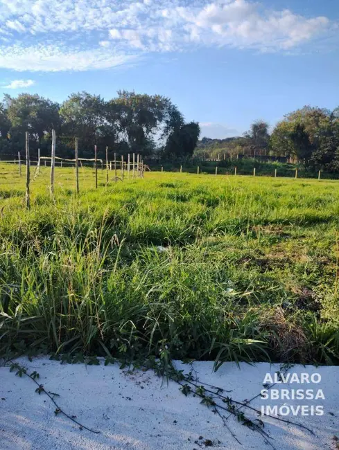 Foto 3 de Terreno / Lote à venda, 250m2 em Parque São Domingos, Pindamonhangaba - SP