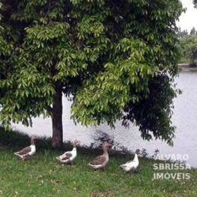 Foto 4 de Terreno / Lote à venda, 574m2 em Salto - SP